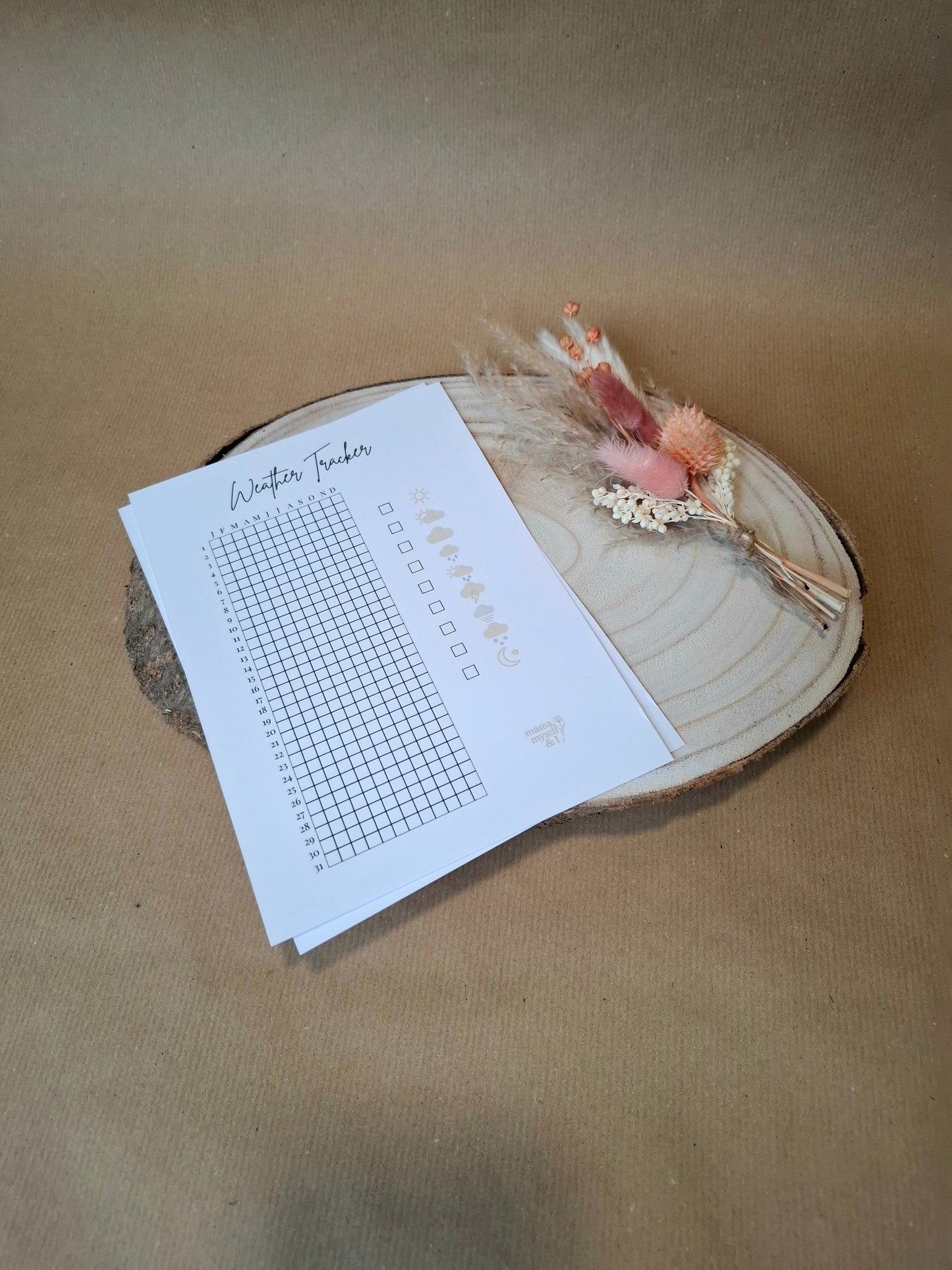 Selfcare Tracker Collection, A5, 26 verschiedene Tracker, Wetter Tracker