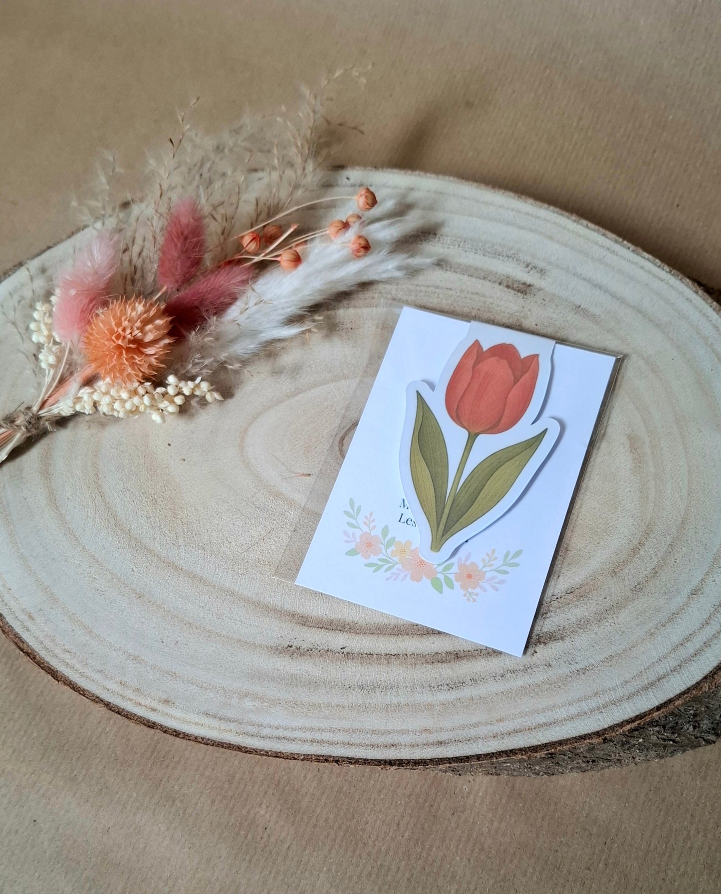 Magnetische Lesezeichen